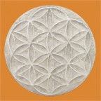 D e k o r a t i v e  W ä  n d e